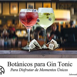 Botánicos 12 Gin Frutal y 12 Gin Silvestre para Ginebras Premium en Bolsa Pirámide con 24 unidades.